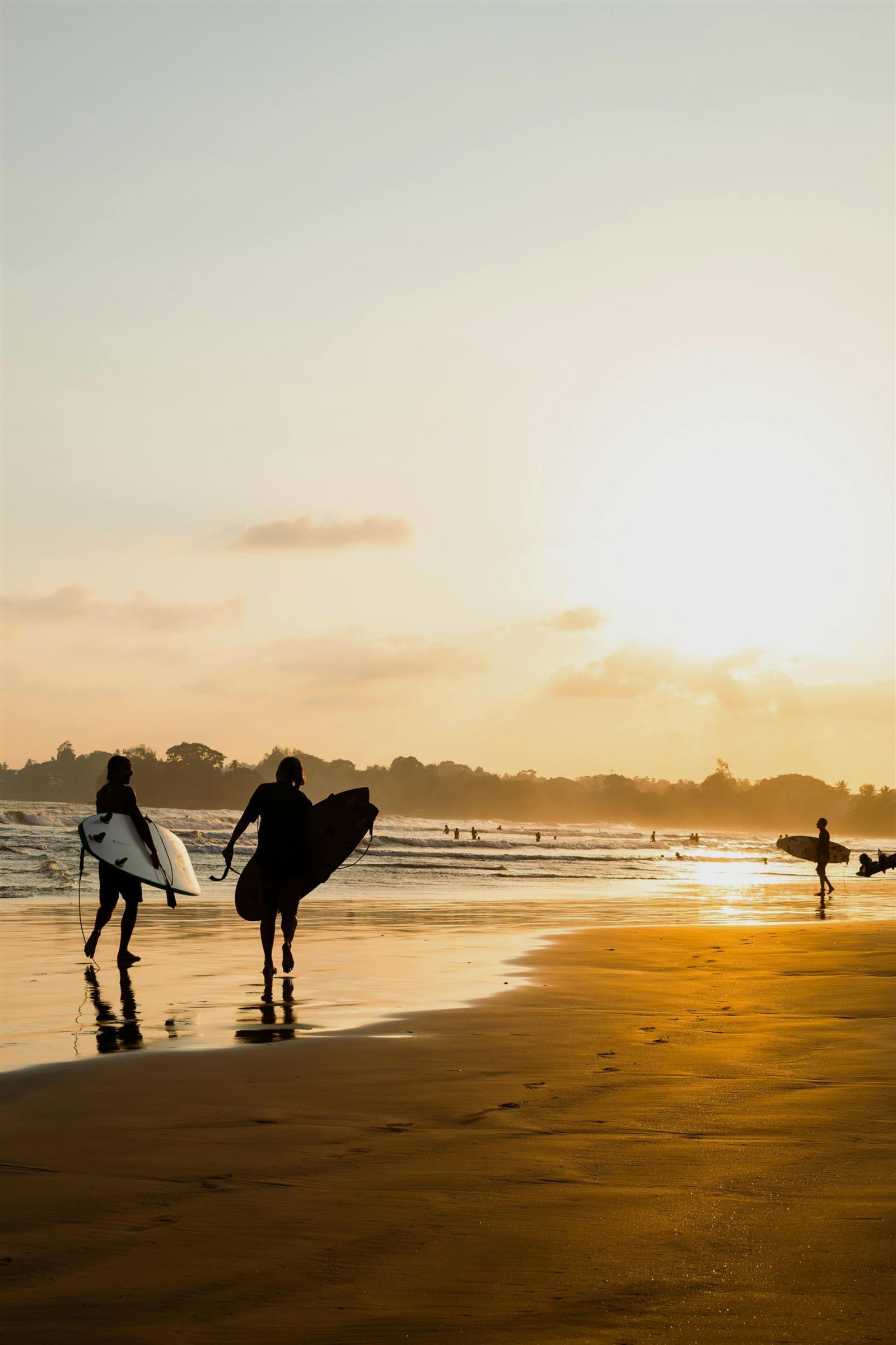 Surfing Travel
